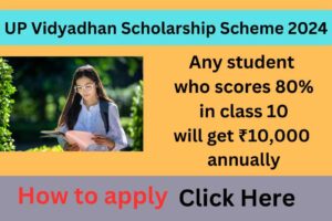 UP Vidyadhan Scholarship Scheme 2024: 10th pass students in Uttar Pradesh will get ₹ 10,000, know how to apply